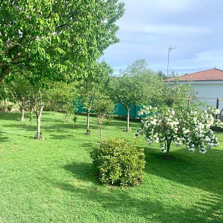 A Casa Vermella Con Jardin A 10 Minutos De Santiago De Compostela Lägenhet Ortono Exteriör bild