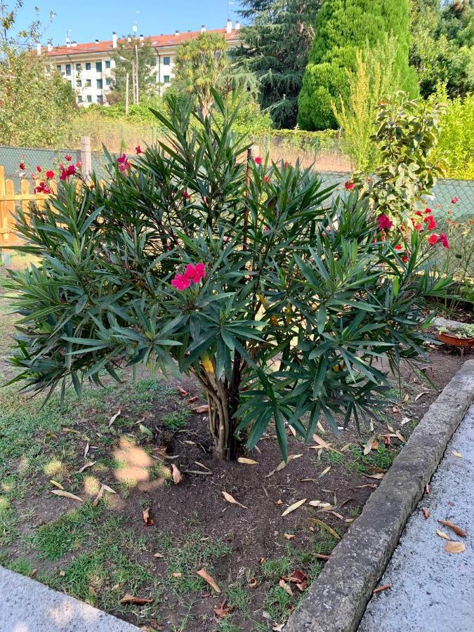 A Casa Vermella Con Jardin A 10 Minutos De Santiago De Compostela Lägenhet Ortono Exteriör bild